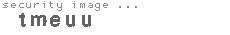 security image