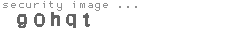security image