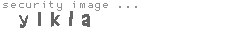security image