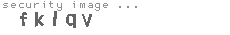security image