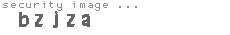 security image
