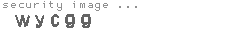 security image