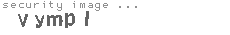 security image