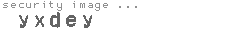 security image