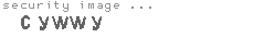 security image