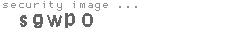security image