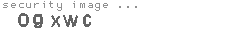 security image