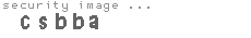 security image