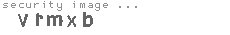 security image