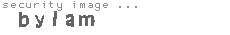 security image