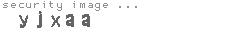 security image