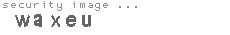 security image