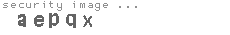 security image