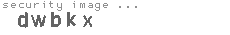 security image