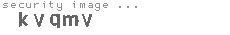 security image