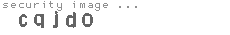 security image