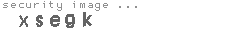 security image