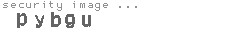 security image