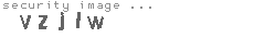 security image