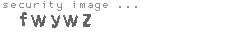 security image