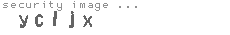 security image