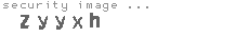 security image