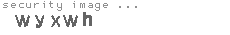 security image