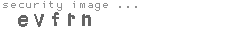 security image