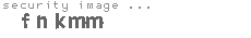 security image