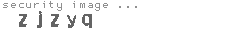 security image
