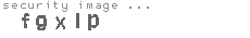 security image