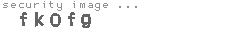 security image