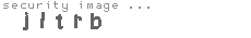 security image