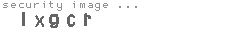 security image