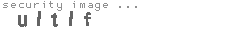 security image