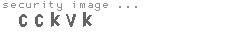 security image