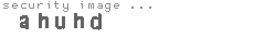 security image