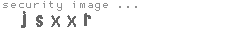 security image