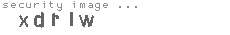 security image