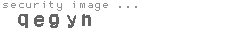 security image