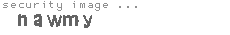 security image