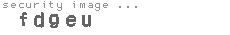 security image