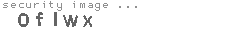 security image
