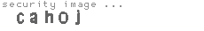 security image