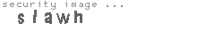 security image