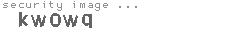 security image