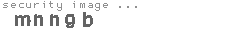 security image
