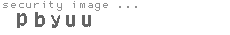 security image