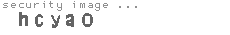 security image
