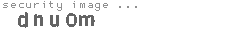 security image